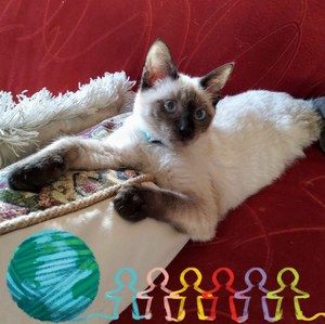 Meet your Posher, Diane